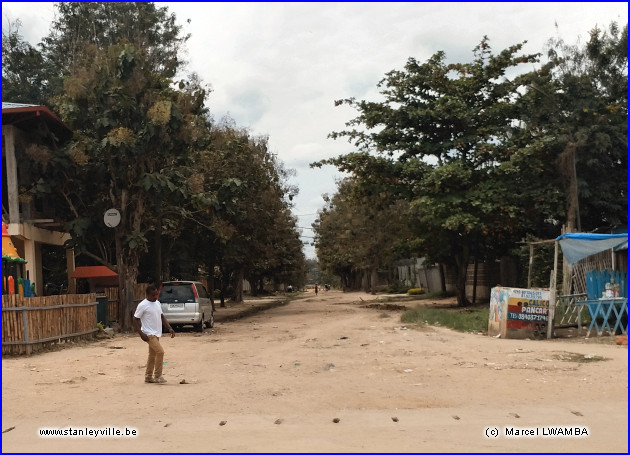 Avenue des Chênes à Kisangani